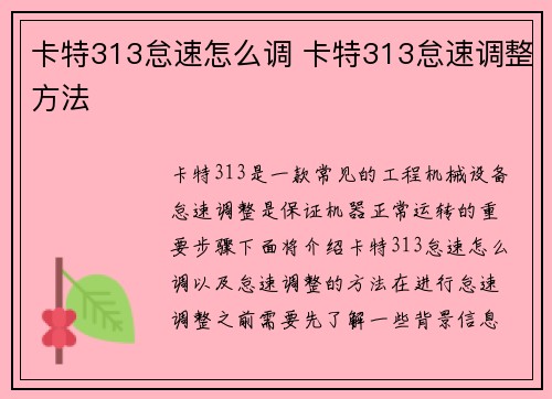 卡特313怠速怎么调 卡特313怠速调整方法